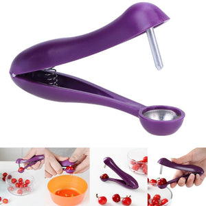 Cherry Pitter Plastic Tool